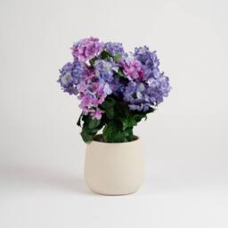 Scottish Everlastings Ltd 58cm Outdoor Pink/Purple Hydrangea Planter in Pink - thumbnail 3