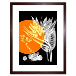 "Artery8 Wall Art Print Colour Pop Circle Plant Artwork Framed 9X7 Inch in Brown - Size: W7"" x H9""" - thumbnail 1