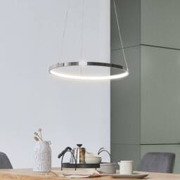 Wyld and Coco 40cm Ring Pendant Lamp - Integrated LED Silver Aluminium