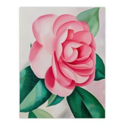"Artery8 Camelia Winter Rose Flower Watercolour Painting Wall Art Print in Pink - Size: W18"" x H24""" - thumbnail 1