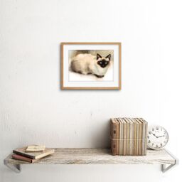 "Artery8 Wall Art Print Cat Ragdoll Watercolour Art Framed 9x7 inch in Beige - Size: W7"" x H9""" - thumbnail 2