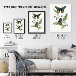 "Artery8 Paul Gervais Madagascan Sunset Moth & Flowers Wall Art Print in White - Size: W12"" x H16""" - thumbnail 3