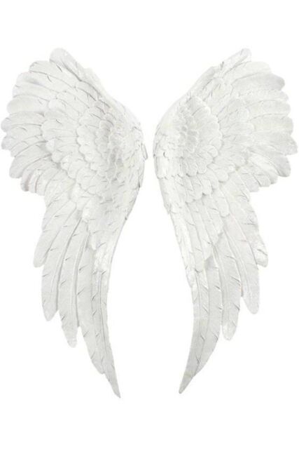 KDMD Pair of Large Glitter Angel Wings in White - image 1