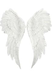 KDMD Pair of Large Glitter Angel Wings in White - thumbnail 1