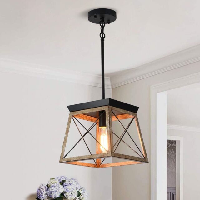 Garwarm Farmhouse Metal Cage Pendant Light Adjustable Height in Black - image 1