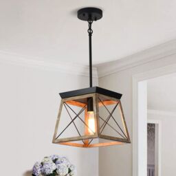 Garwarm Farmhouse Metal Cage Pendant Light Adjustable Height in Black