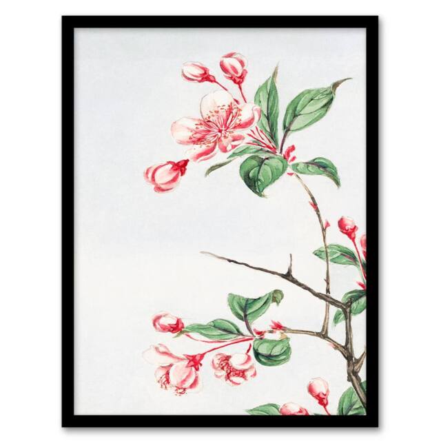 Artery8 Megata Morikaga Framed Wall Art Print Kaido Crabapple Flower Bloom in Pink - Size: A4 - image 1