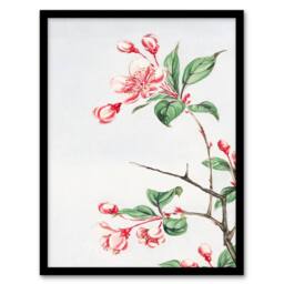 Artery8 Megata Morikaga Framed Wall Art Print Kaido Crabapple Flower Bloom in Pink - Size: A4 - thumbnail 1