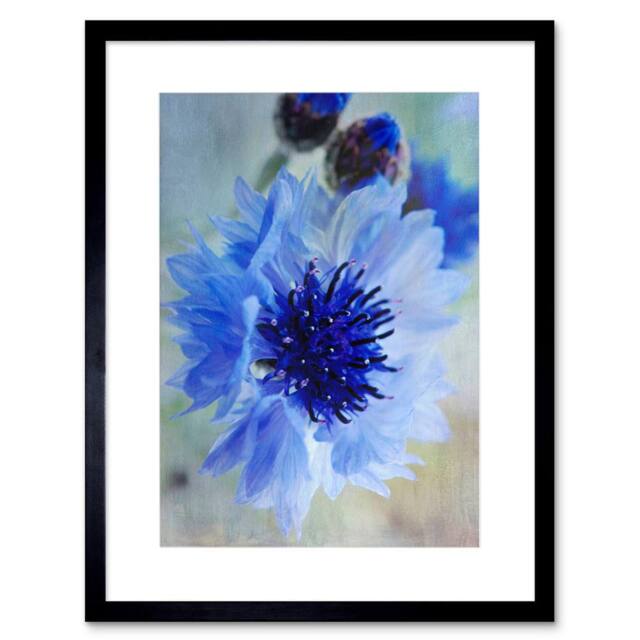 "Artery8 Cornflower Flower Blue Bloom Living Room 12x16"" Framed Wall Art Print - Size: W12"" x H16""" - image 1
