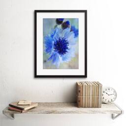 "Artery8 Cornflower Flower Blue Bloom Living Room 12x16"" Framed Wall Art Print - Size: W12"" x H16""" - thumbnail 2