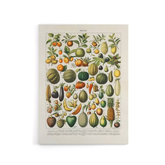 "Artery8 Fruits & Vegetables Vintage French Encyclopedia Canvas Wall Art in Beige - Size: W18"" x H24""" - image 1