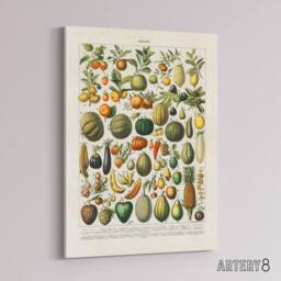 "Artery8 Fruits & Vegetables Vintage French Encyclopedia Canvas Wall Art in Beige - Size: W18"" x H24""" - thumbnail 2