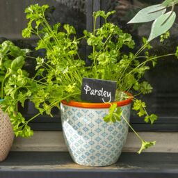 Nicola Spring Hand-Printed Plant Pot - 14cm in Blue - thumbnail 5
