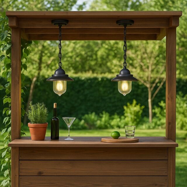 CGC Lighting 'Ryder' Black Hanging Lantern Outdoor Porch Light - image 1