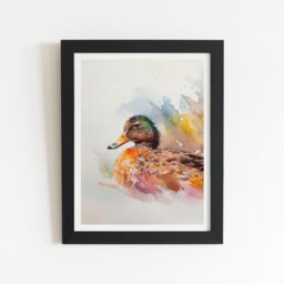 "Warren Reed - Designer Mallard Watercolour Framed Art Print in Black - Size: W24"" x H36""" - thumbnail 1