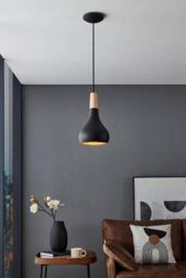Eglo Sabinar IP20 Steel 180mm Modern Pendant Light in Black - thumbnail 2