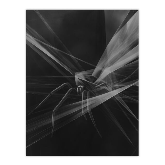 "Artery8 Spider Black White Abstract Cubist Web Threads Wall Art Print - Size: W24"" x H32""" - image 1