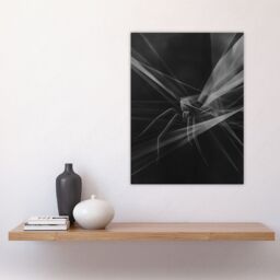 "Artery8 Spider Black White Abstract Cubist Web Threads Wall Art Print - Size: W24"" x H32""" - thumbnail 4
