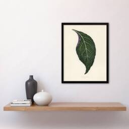 Artery8 Vintage Botanical Nerve Plant Leaf Fawcett Framed Wall Art Print in Beige - Size: A4 - thumbnail 4