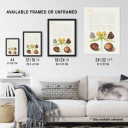 Artery8 Moths Jerusalem Sage & Beans Calligraphy Framed Wall Art Print in White - Size: A4 - thumbnail 3