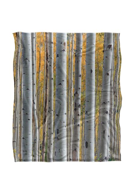 JQ Licensing James Piazza Birch Trees Silky Touch Super Soft Throw Blanket 152 X 127 cm in White - image 1
