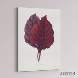 "Artery8 AF Lydon Benjamin Fawcett Red Amaranth Leaf Canvas Wall Art Print in White - Size: W12"" x H16""" - thumbnail 2