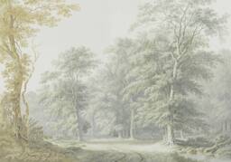 Superfresco Easy Stately Woodland Green Ochre Print To Order 3m x 2.8m Mural - thumbnail 2
