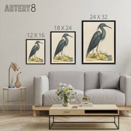 "Artery8 Blue Heron Natural History Illustration Catesby Framed Canvas Wall Art in Beige - Size: W24"" x H32""" - thumbnail 4