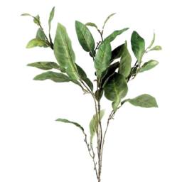 Leaf Pack of 6 x 90cm Artificial Ficus Foliage Stem in Green - Size: 6 x 90 cm - thumbnail 9
