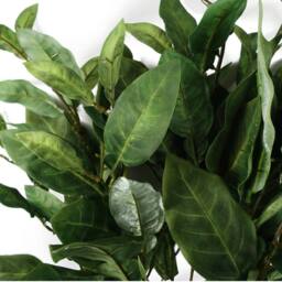 Leaf Pack of 6 x 90cm Artificial Ficus Foliage Stem in Green - Size: 6 x 90 cm - thumbnail 2