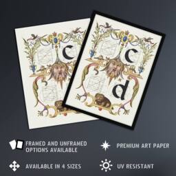 Artery8 Pictoral Letter Guide C & D Calligraphy Framed Wall Art Print in White - Size: A4 - thumbnail 2