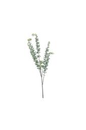 KDMD Essential Grey Eucalyptus Bush 5 Heads 3 Pack - thumbnail 2