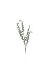 KDMD Essential Grey Eucalyptus Bush 5 Heads 3 Pack - thumbnail 5