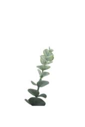 KDMD Essential Grey Eucalyptus Bush 5 Heads 3 Pack - thumbnail 4