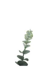 KDMD Essential Grey Eucalyptus Bush 5 Heads 3 Pack - thumbnail 3