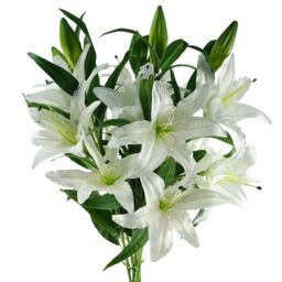 Pegdev Pack of 6 White Lily Stems 100cm with 18 Silk Flowers