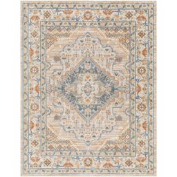 Livabliss Lilian-Washable Brown Blue Vintage Traditional Boho Living Dining Rug - Size: 120 cm x 170 cm - thumbnail 2