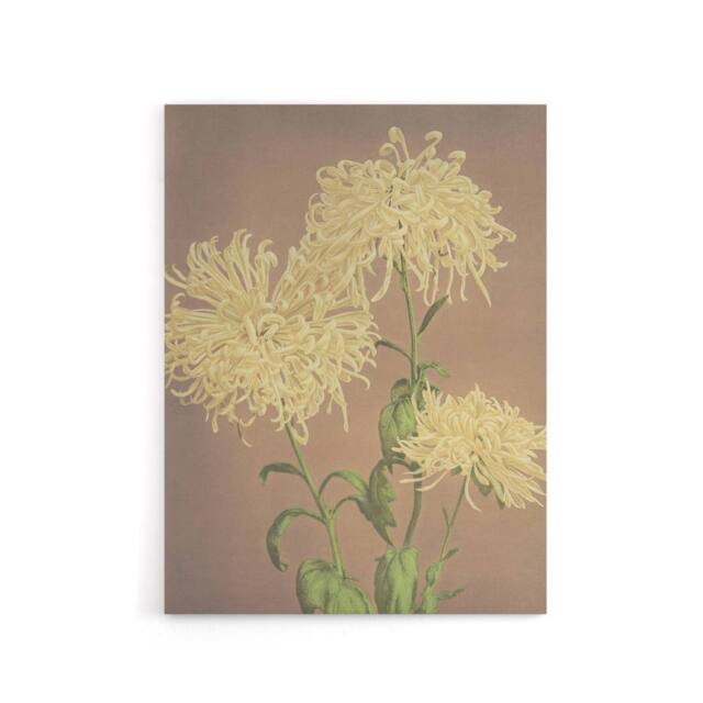 "Artery8 Three Yellow Chrysanthemums Canvas Wall Art Print Ogawa Kazumasa - Size: W18"" x H24""" - image 1