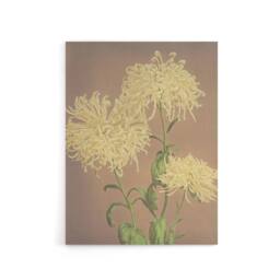 "Artery8 Three Yellow Chrysanthemums Canvas Wall Art Print Ogawa Kazumasa - Size: W18"" x H24""" - thumbnail 1