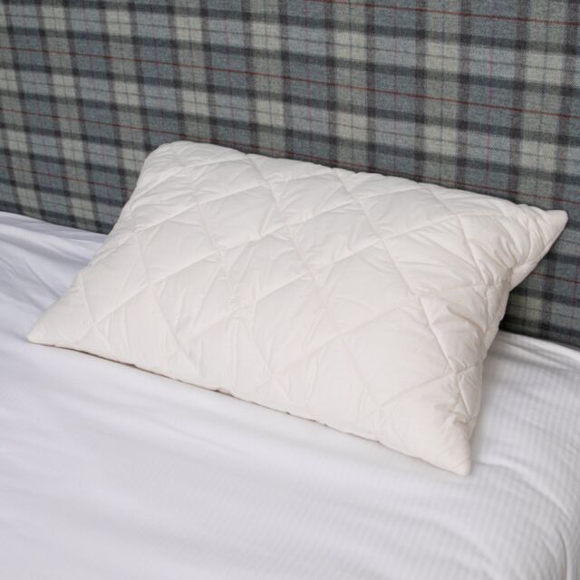 Native Natural Wool Filled Pillow (set of 2) in White - Size: Double - image 1