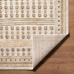 Livabliss Alba-Global Ivory Green Brown Taupe Graphic Living Rug - Size: 200 cm x 275 cm - thumbnail 3