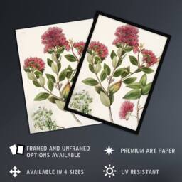 "Artery8 New Zealand Rata Flowers Illustration Featon Framed Wall Art Print in Beige - Size: W12"" x H16""" - thumbnail 2