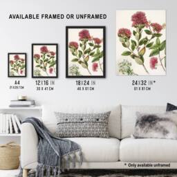 "Artery8 New Zealand Rata Flowers Illustration Featon Framed Wall Art Print in Beige - Size: W12"" x H16""" - thumbnail 3