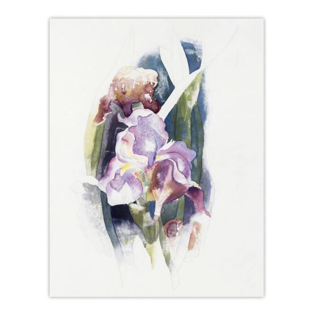"Artery8 Purple Iris Flower Watercolour Demuth Wall Art Poster Print in White - Size: W24"" x H32""" - image 1