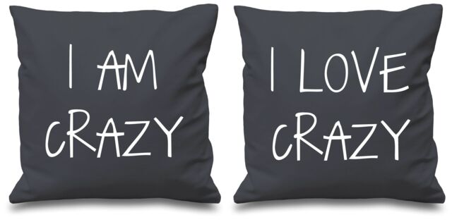 60 SECOND MAKEOVER I Am Crazy I Love Crazy Cushion Covers in Grey - Size: 40 cm x 40 cm