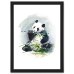Artery8 Panda Eating Bamboo Watercolour Artwork Framed Wall Art Print A4 in Black - thumbnail 1