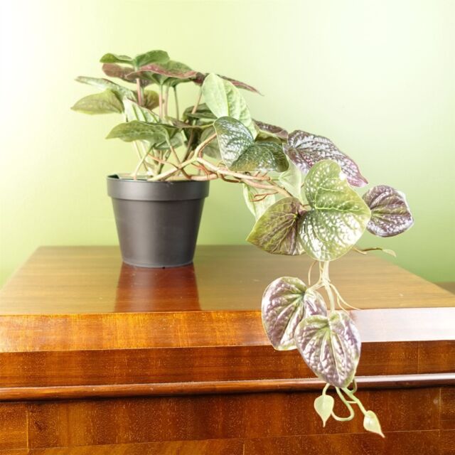 Leaf Artificial 35cm Trailing Purple Potted Pothos Plant - image 1