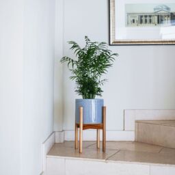 Ivyline Anzio Warm Grey Planter with Wooden Stand, H38.5cm x D24cm - On trend design - perfect for larger plants - Ceramic planter in Mid Grey - thumbnail 2