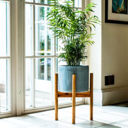 Ivyline Anzio Warm Grey Planter with Wooden Stand, H38.5cm x D24cm - On trend design - perfect for larger plants - Ceramic planter in Mid Grey - thumbnail 1