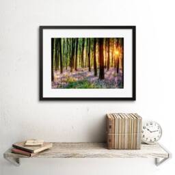 "Artery8 Bluebell Wood Sunrise Tree Living Room Home Decor 12x16"" Framed Art - Size: W12"" x H16""" - thumbnail 2